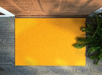 Rohožka pred dvere Šťavnatý oranžový