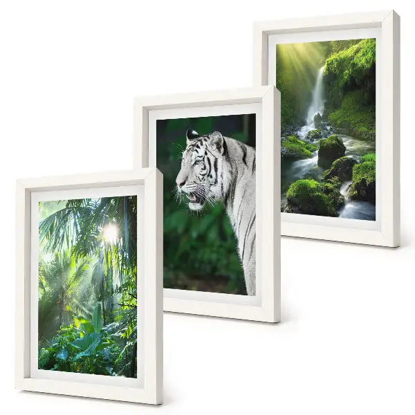 Džungľa s bielym tigrom a divokým vodopádom triptych v ráme