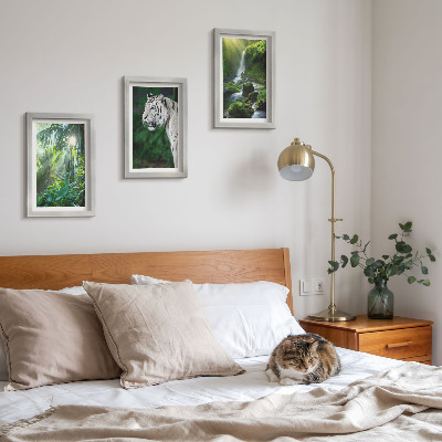 Triptych v ráme Džungľa s bielym tigrom a divokým vodopádom