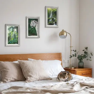 Džungľa s bielym tigrom a divokým vodopádom triptych v ráme