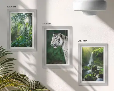 Džungľa s bielym tigrom a divokým vodopádom triptych v ráme
