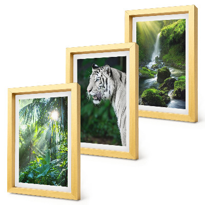 Triptych v ráme Džungľa s bielym tigrom a divokým vodopádom