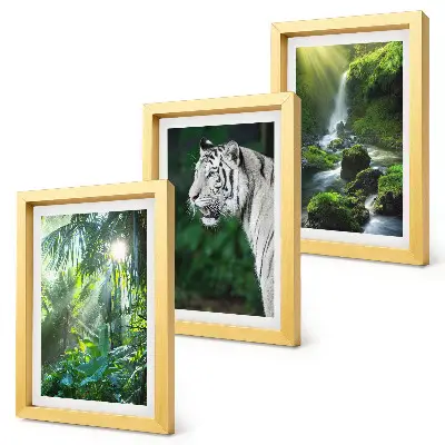 Džungľa s bielym tigrom a divokým vodopádom triptych v ráme