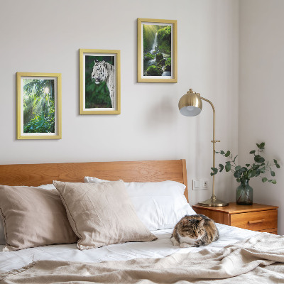 Triptych v ráme Džungľa s bielym tigrom a divokým vodopádom