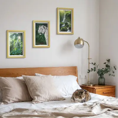 Džungľa s bielym tigrom a divokým vodopádom triptych v ráme