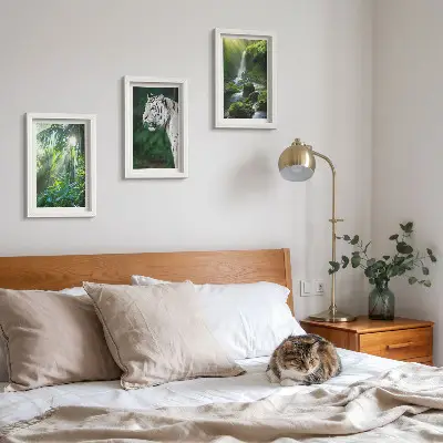 Džungľa s bielym tigrom a divokým vodopádom triptych v ráme