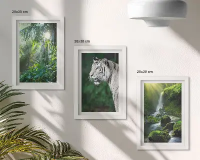 Džungľa s bielym tigrom a divokým vodopádom triptych v ráme