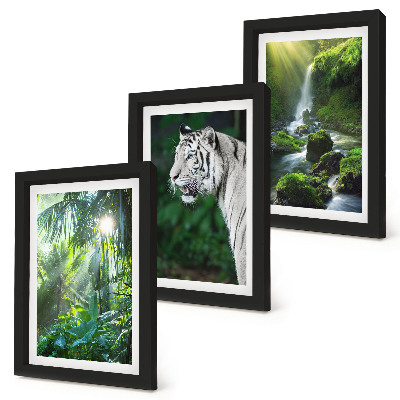 Triptych v ráme Džungľa s bielym tigrom a divokým vodopádom