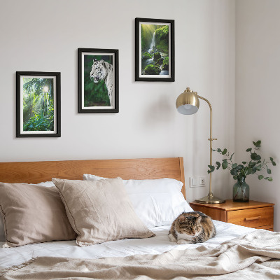 Triptych v ráme Džungľa s bielym tigrom a divokým vodopádom