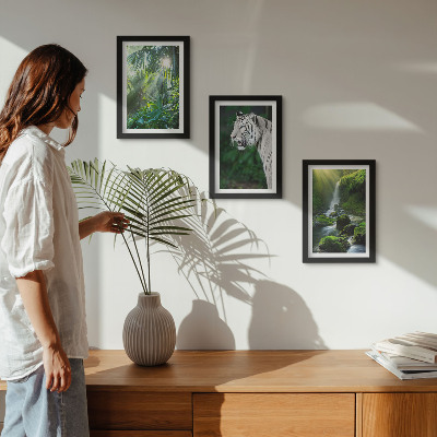 Triptych v ráme Džungľa s bielym tigrom a divokým vodopádom