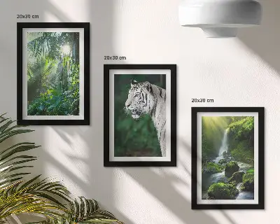 Džungľa s bielym tigrom a divokým vodopádom triptych v ráme