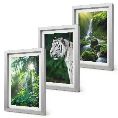 Džungľa s bielym tigrom a divokým vodopádom triptych v ráme