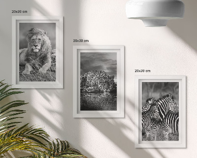 Sada obrazov do obývačky Divoké zvieratá savany: lev, jaguár a zebra