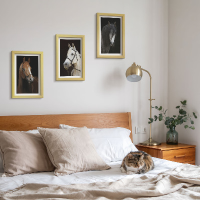 Triptych v ráme Portréty koní v rôznych odtieňoch srsti
