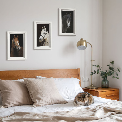Triptych v ráme Portréty koní v rôznych odtieňoch srsti