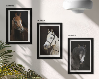 Triptych v ráme Portréty koní v rôznych odtieňoch srsti