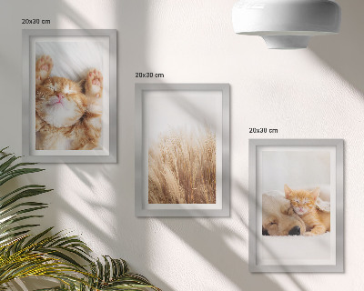 Triptych v ráme Roztomilé zvieratá mačky psy jemná tráva boho