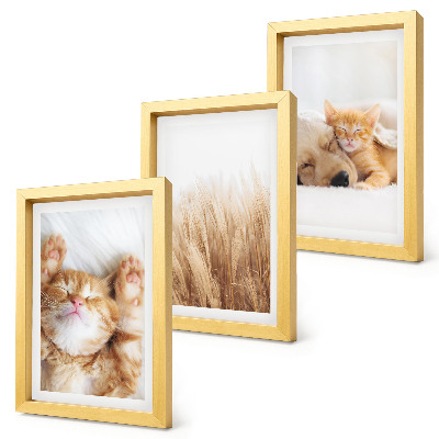 Triptych v ráme Roztomilé zvieratá mačky psy jemná tráva boho