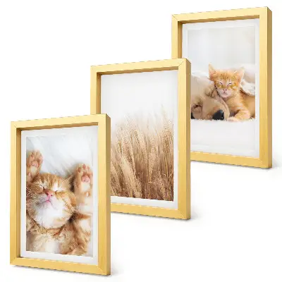 Triptych v ráme s motívom roztomilých mačiek, psov a jemnej trávy v boho štýle