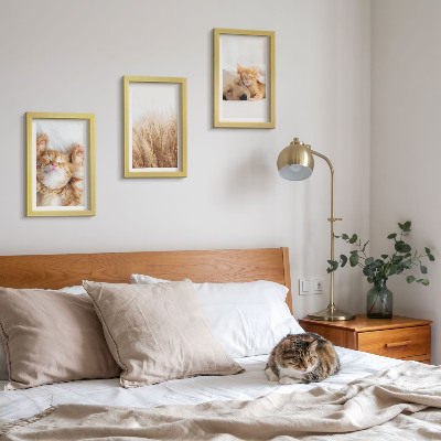 Triptych v ráme Roztomilé zvieratá mačky psy jemná tráva boho