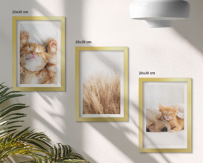 Triptych v ráme Roztomilé zvieratá mačky psy jemná tráva boho