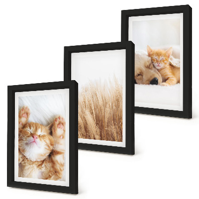 Triptych v ráme Roztomilé zvieratá mačky psy jemná tráva boho
