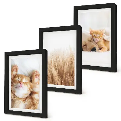Triptych v ráme s motívom roztomilých mačiek, psov a jemnej trávy v boho štýle