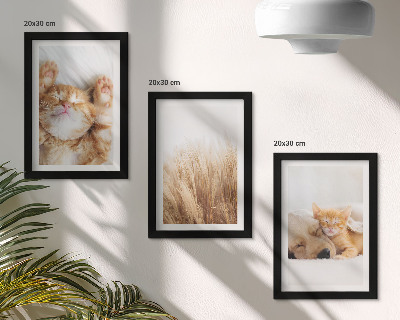 Triptych v ráme Roztomilé zvieratá mačky psy jemná tráva boho
