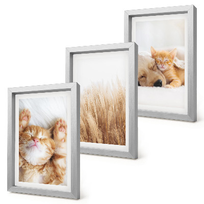 Triptych v ráme Roztomilé zvieratá mačky psy jemná tráva boho