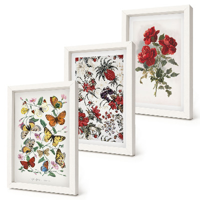 Triptych v ráme Motýle, kvety a červené ruže v klasickom štýle