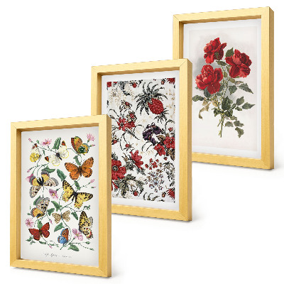 Triptych v ráme Motýle, kvety a červené ruže v klasickom štýle