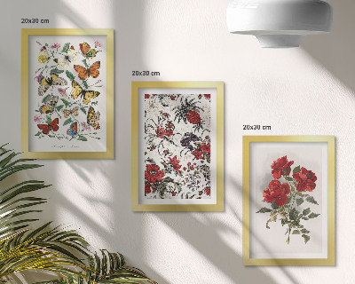 Triptych v ráme Motýle, kvety a červené ruže v klasickom štýle