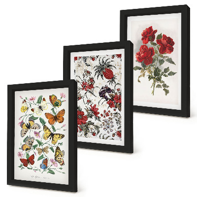 Triptych v ráme Motýle, kvety a červené ruže v klasickom štýle