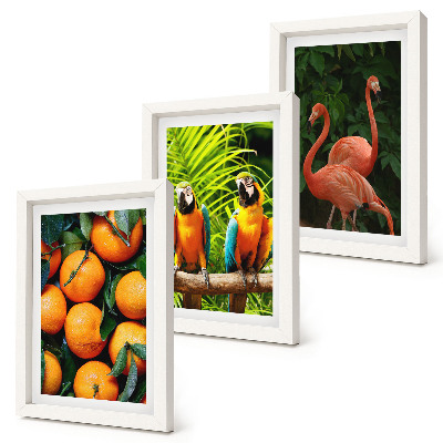 Triptych v ráme Ovocné akcenty s papagájmi a plameniakmi v trópoch