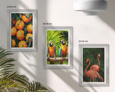 Triptych v ráme Ovocné akcenty s papagájmi a plameniakmi v trópoch