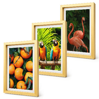 Triptych v ráme Ovocné akcenty s papagájmi a plameniakmi v trópoch