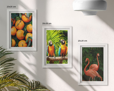 Triptych v ráme Ovocné akcenty s papagájmi a plameniakmi v trópoch