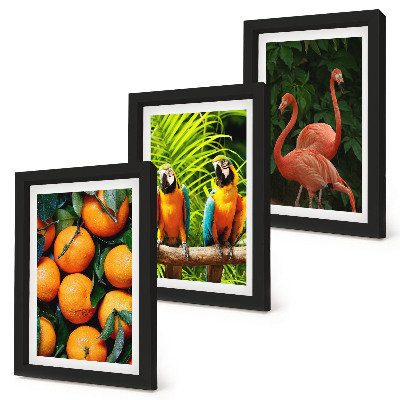 Triptych v ráme Ovocné akcenty s papagájmi a plameniakmi v trópoch