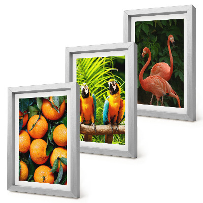 Triptych v ráme Ovocné akcenty s papagájmi a plameniakmi v trópoch