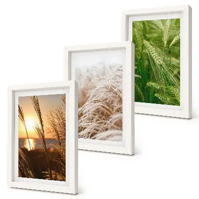 Triptych v ráme rôzne druhy trávy a farebná príroda