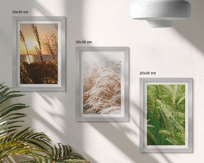 Triptych v ráme Rôzne druhy trávy, farebná príroda