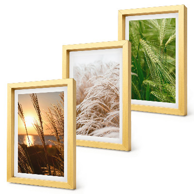 Triptych v ráme Rôzne druhy trávy, farebná príroda