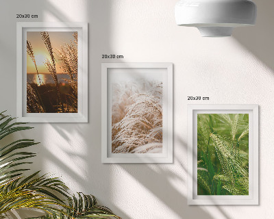 Triptych v ráme Rôzne druhy trávy, farebná príroda