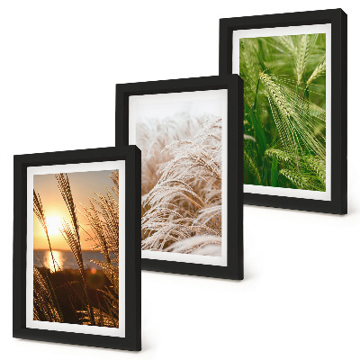 Triptych v ráme Rôzne druhy trávy, farebná príroda