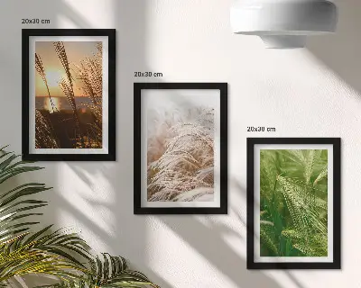 Triptych v ráme rôzne druhy trávy a farebná príroda