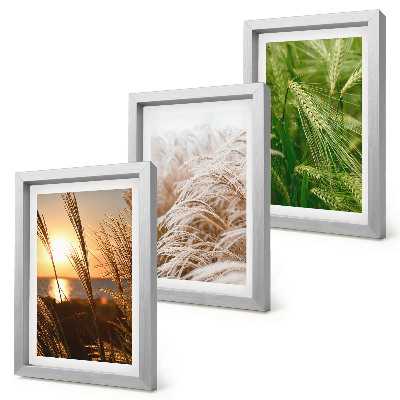 Triptych v ráme Rôzne druhy trávy, farebná príroda
