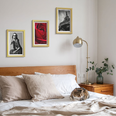 Triptych v ráme Parížska žena s ružovými okuliarmi a Eiffelovou vežou