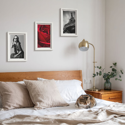 Triptych v ráme Parížska žena s ružovými okuliarmi a Eiffelovou vežou