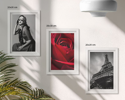 Triptych v ráme Parížska žena s ružovými okuliarmi a Eiffelovou vežou