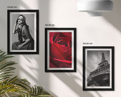 Triptych v ráme Parížska žena s ružovými okuliarmi a Eiffelovou vežou
